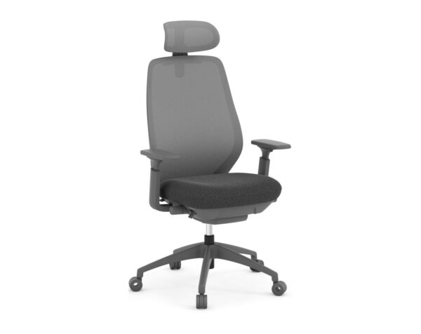 AX-Deluxe-Executive-Chair-with-Headrest.jpg